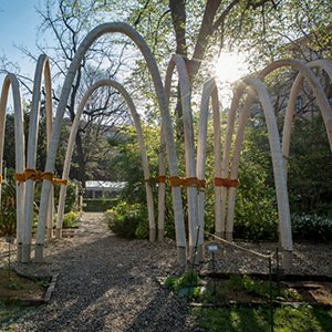 Eni's Circular Garden at Fuorisalone 2019 Eni's Circular Garden at Fuorisalone 2019