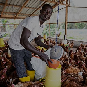 The Livelihood Restoration Plan for development in Ghana The Livelihood Restoration Plan for development in Ghana