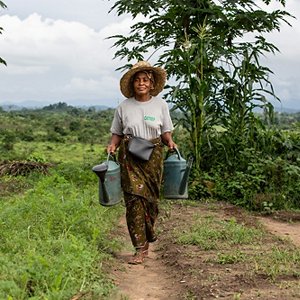 Il progetto CATREP in Congo Il progetto CATREP in Congo