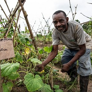 Il progetto CATREP in Congo Il progetto CATREP in Congo