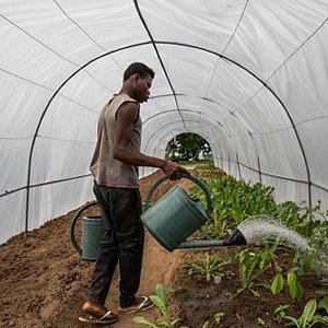 Il progetto CATREP in Congo Il progetto CATREP in Congo