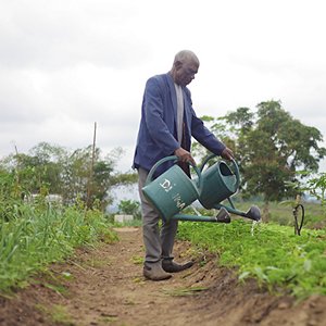 Il progetto CATREP in Congo Il progetto CATREP in Congo