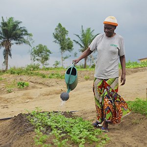 Il progetto CATREP in Congo Il progetto CATREP in Congo