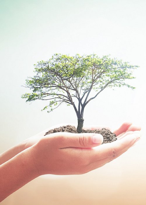World environment day concept: Two human hands holding big tree and city over blurred nature background World environment day concept: Two human hands holding big tree and city over blurred nature background