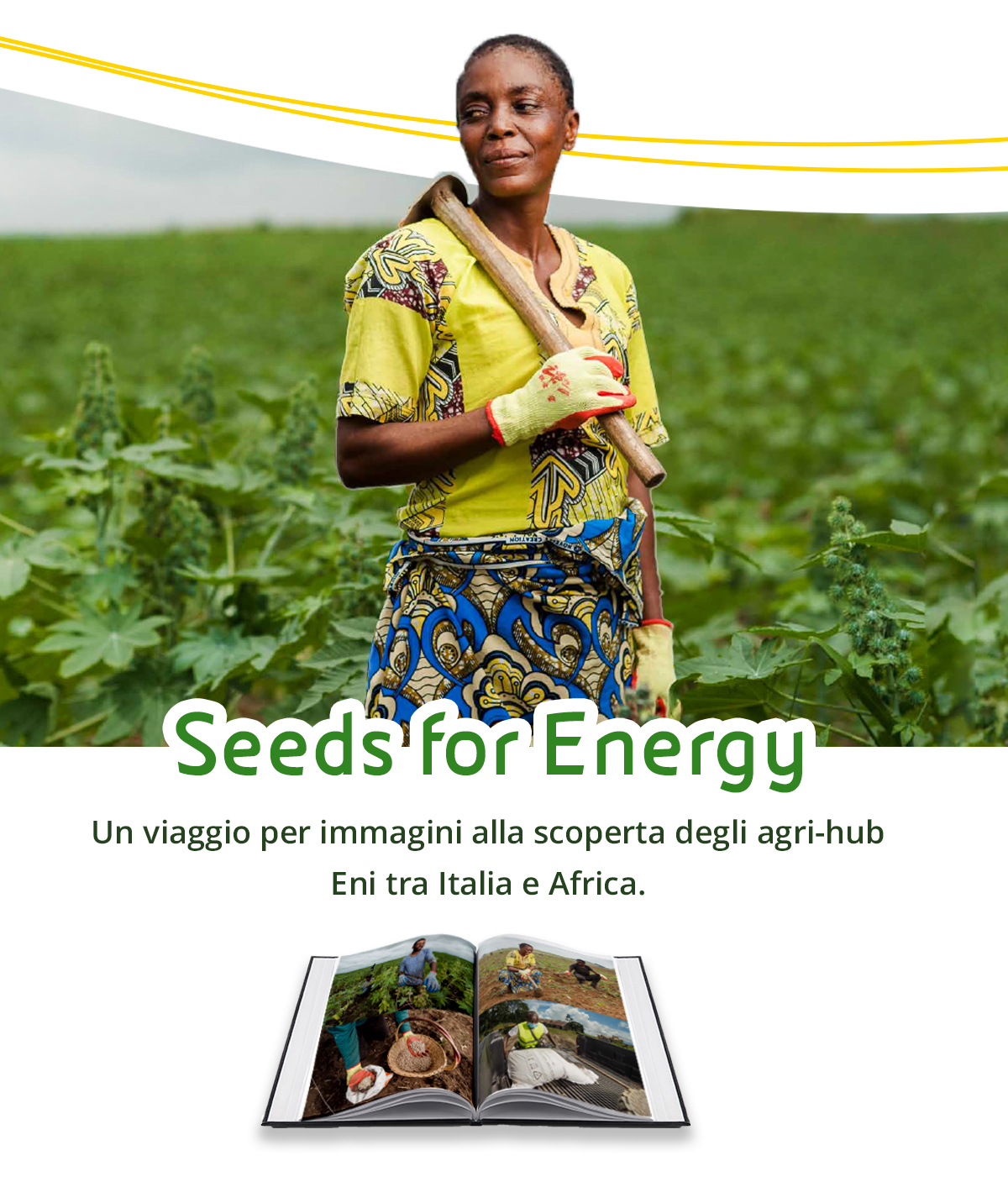 visore-agri-seeds-mobile.jpg