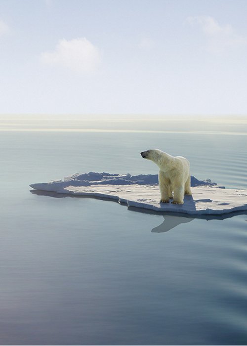 Cambiamento climatico Cambiamento climatico