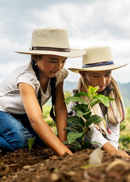 Il modello di recupero ecologico in Colombia