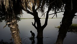 Nigeria water stories: il Lago Ciad 