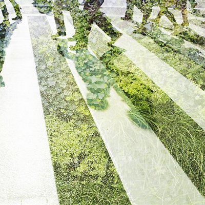 Green economy Green economy