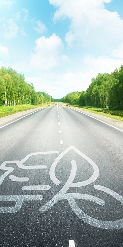 road in summer forest