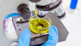 Scienziato testa Biodiesel al microscopio