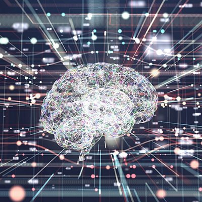 Un computer di neuroni Un computer di neuroni