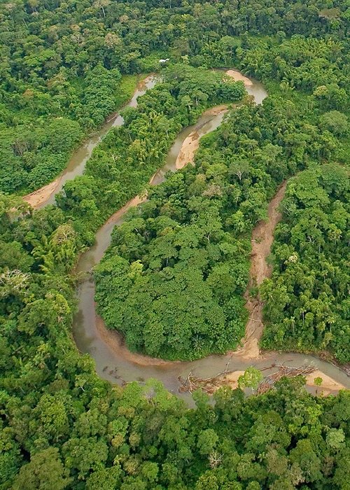 Foresta Amazzonica