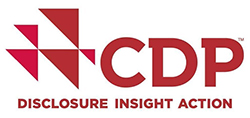 CDP – Disclosure Insight Action