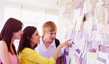 People working together on a project