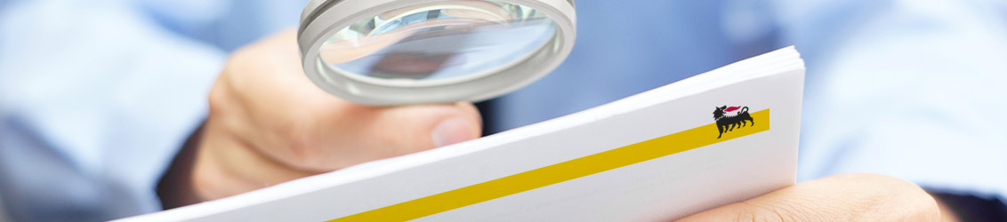 The internal control and risk management system