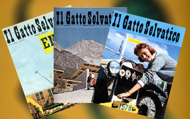 Le firme d'autore del "Gatto Selvatico"