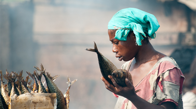 Ghana sustainability