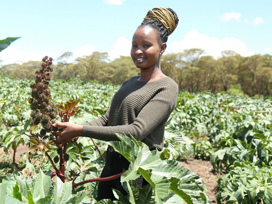hero-kenya-book-02.jpg.rend.1500.650.jpg