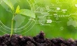 the Lucanian innovation community