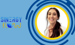 Sinergy Flow: accumulo di energia di lunga durata