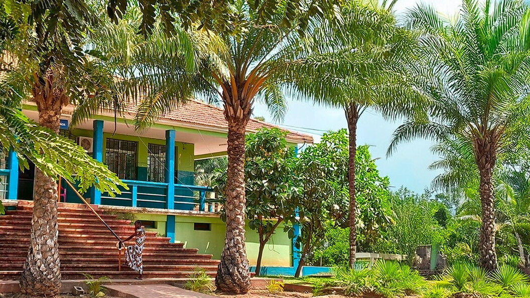 Exterior view of a building with some palm trees in front
