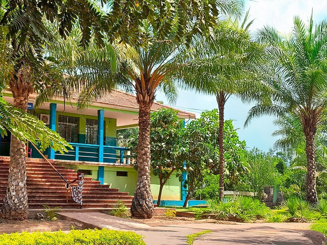 Exterior view of a building with some palm trees in front