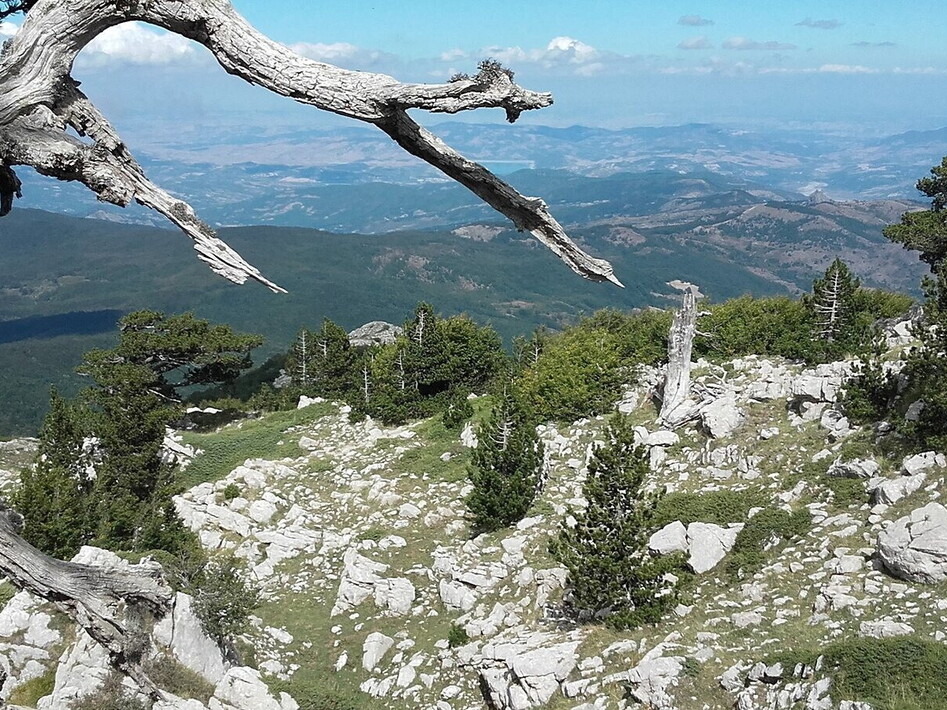 Il rilancio del “cuore verde” lucano