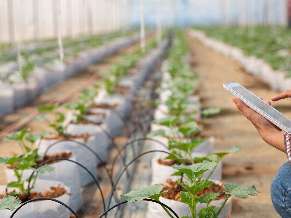 Sostegno ai giovani agricoltori lucani
