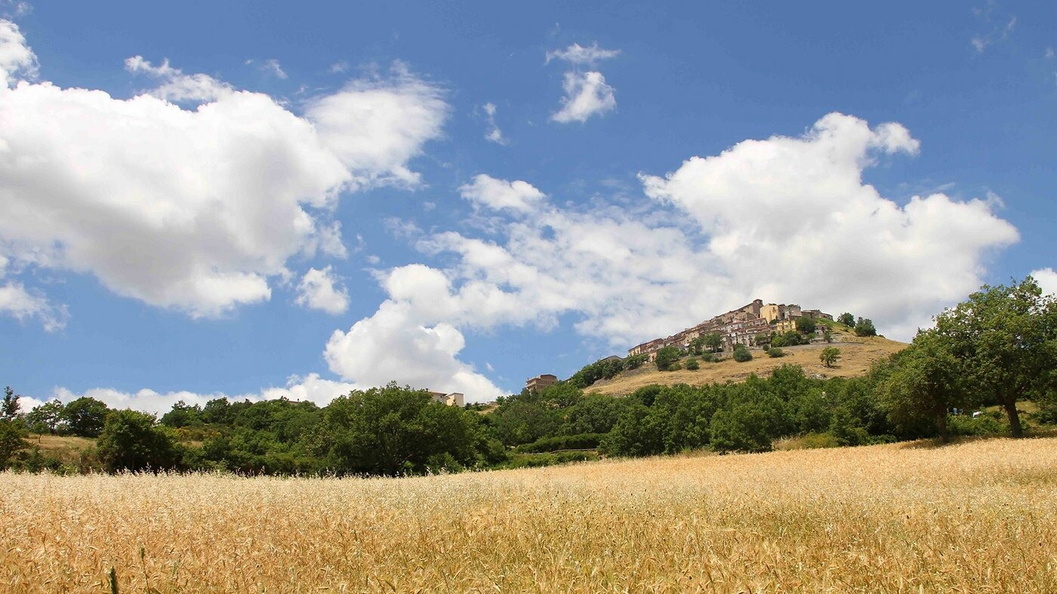 Territorio