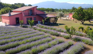 Agrivanda: riqualificazione agricola e biomonitoraggio ambientale