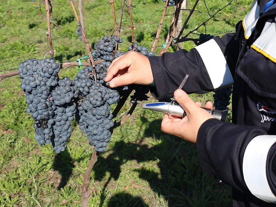 Centro Agricolo di Sperimentazione e Formazione