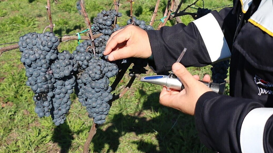 Centro Agricolo di Sperimentazione e Formazione