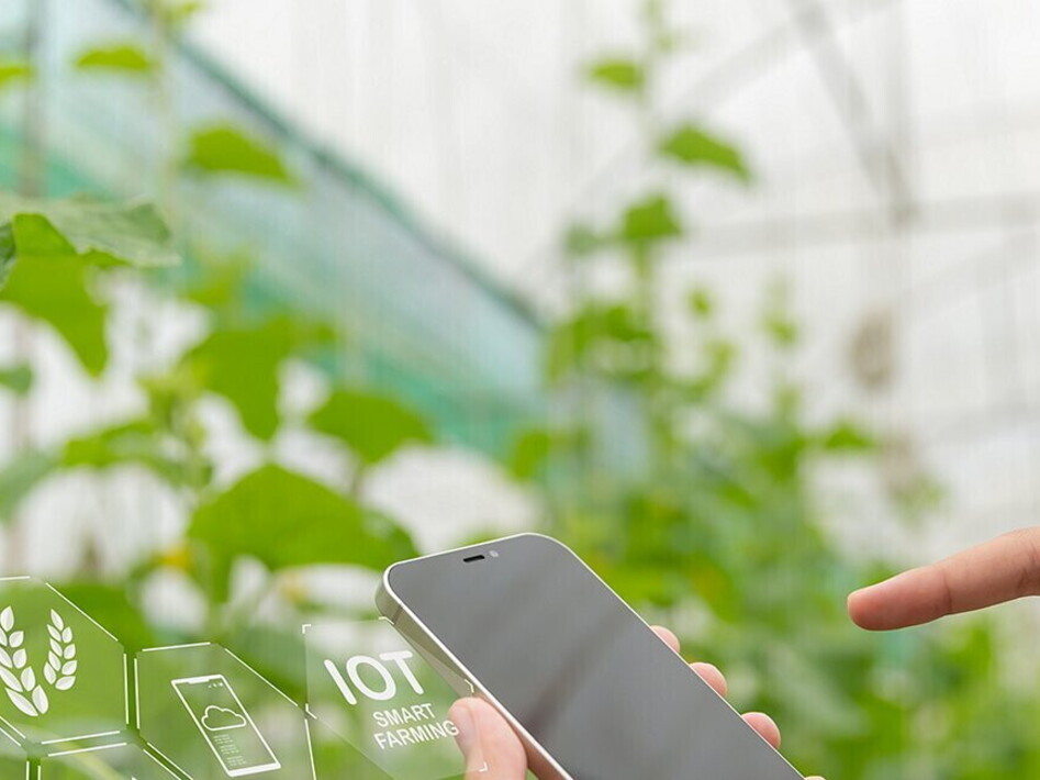 Agricoltura smart a Metaponto