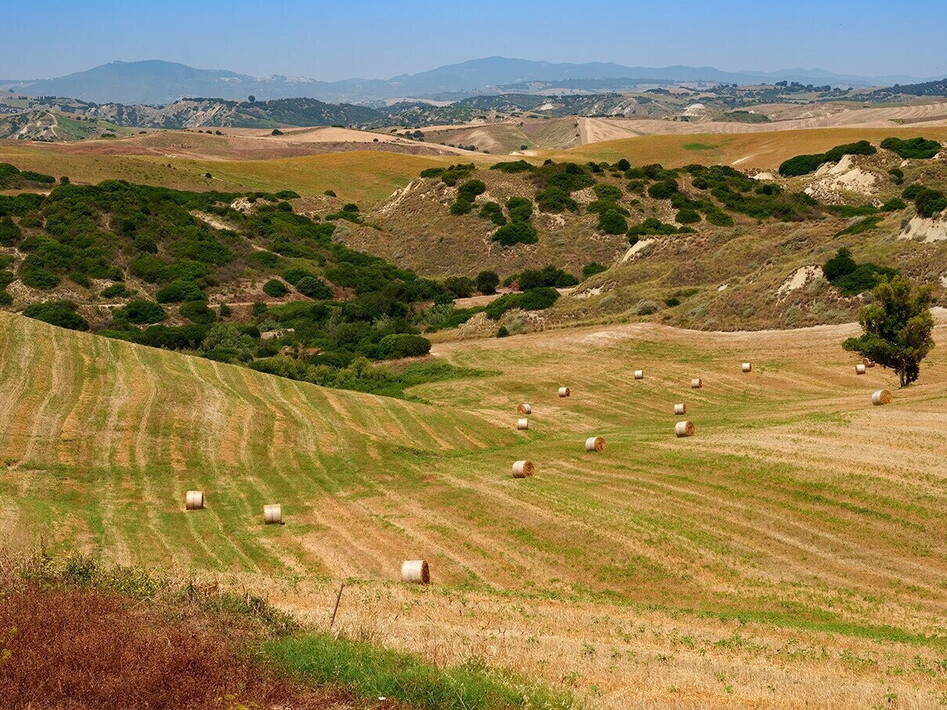 Nuove risorse per l’agricoltura lucana