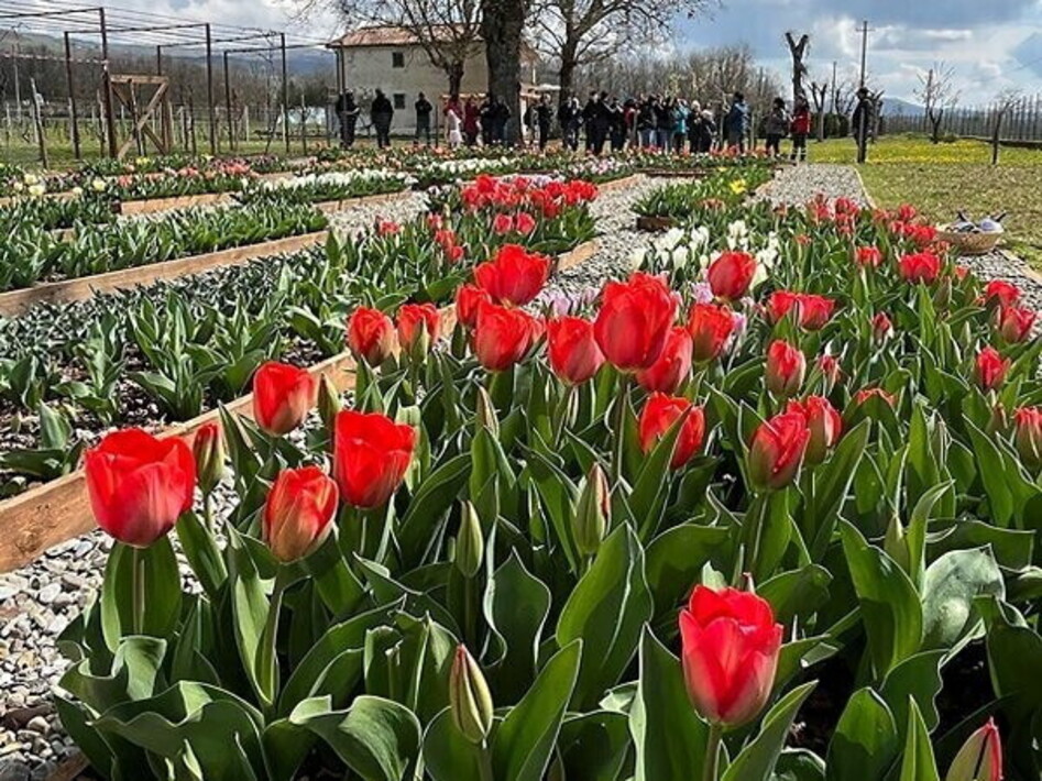 La Primavera in Val d’Agri rilancia lo sviluppo del territorio