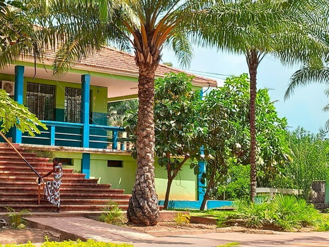 Vista esterna di un edificio con alcune palme davanti