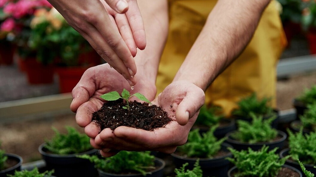 Laboratorio di giardinaggio