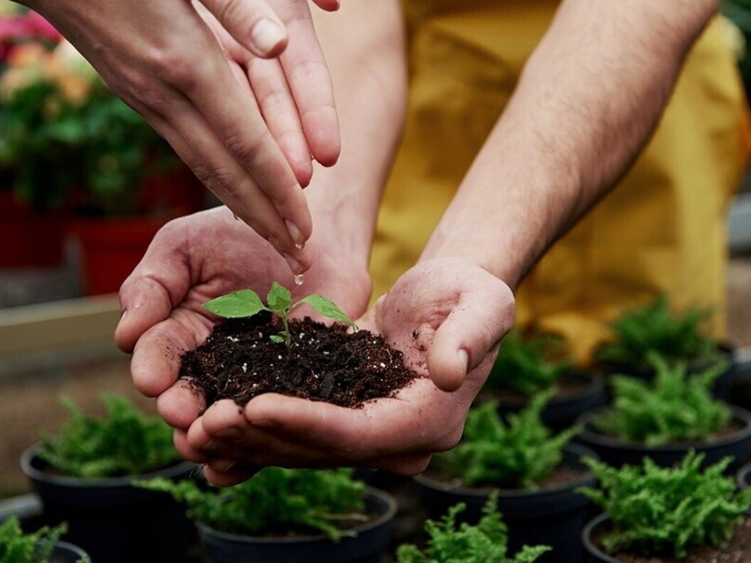 Laboratorio di giardinaggio