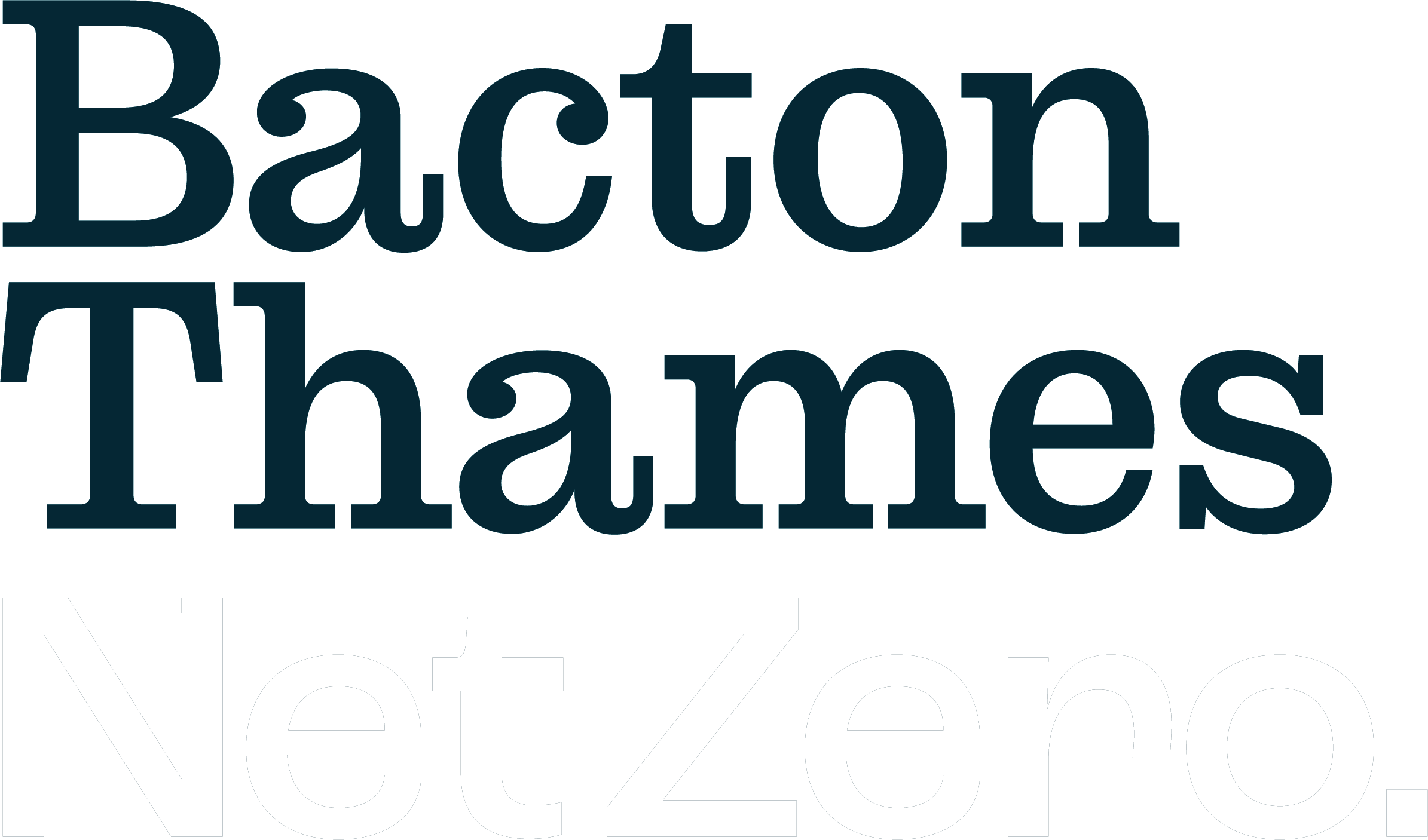 Net Zero Logo