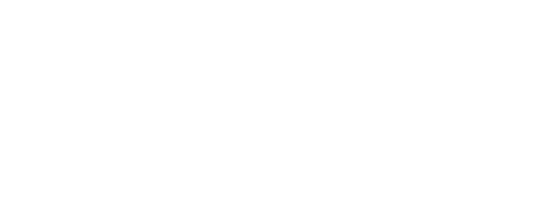 Fluxys