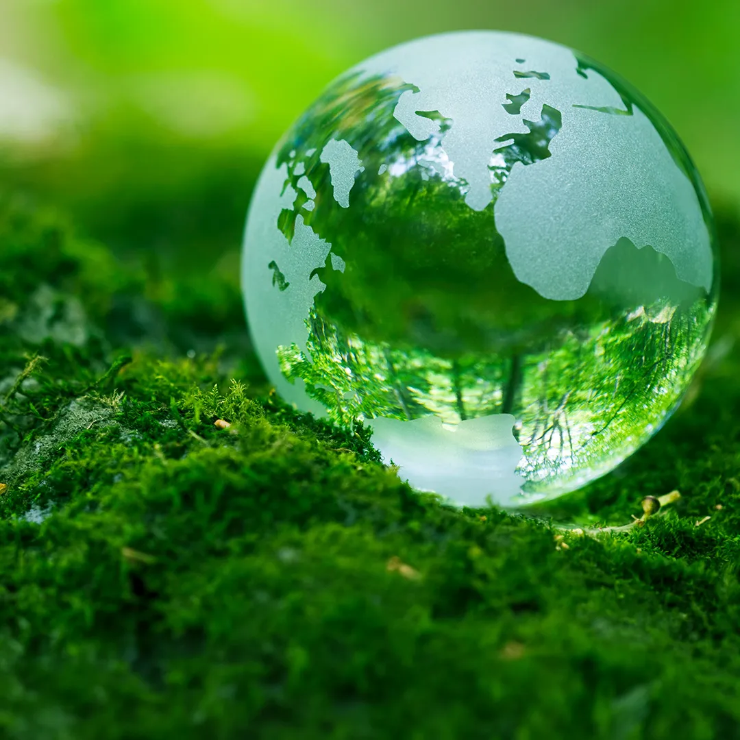 Glass globe with a world map placed on moss.