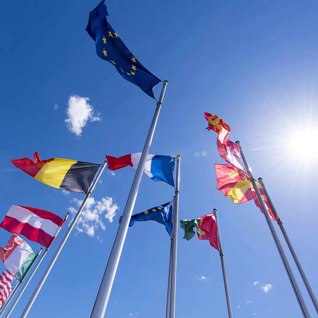 Flags hoisted on poles seen from below.