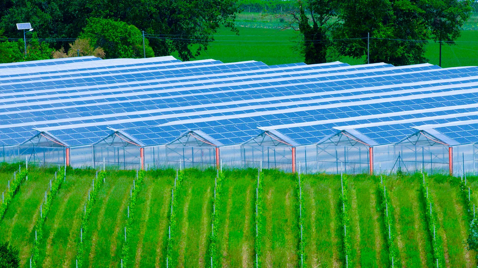 Field of photovoltaic panels.